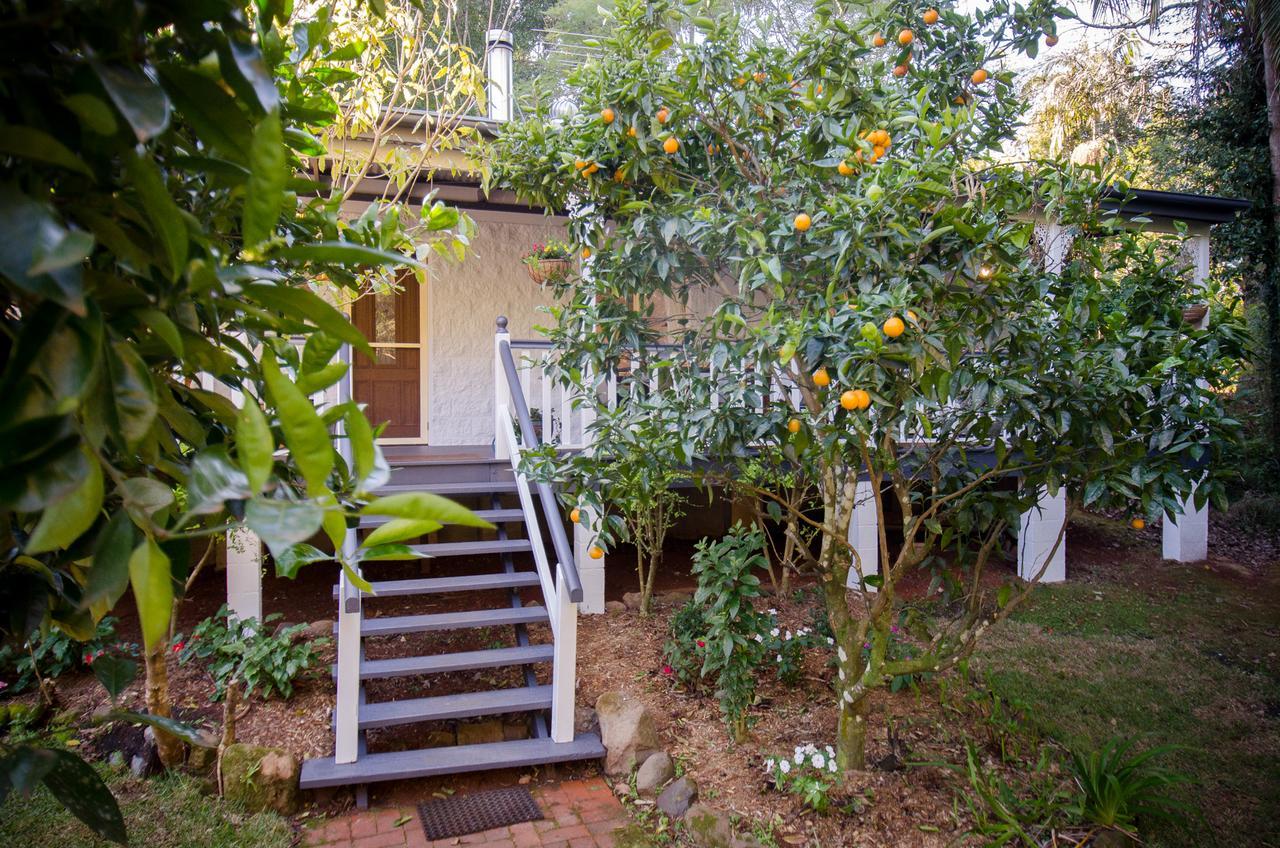 Kidd Street Cottages Маунт Тамборин Екстериор снимка