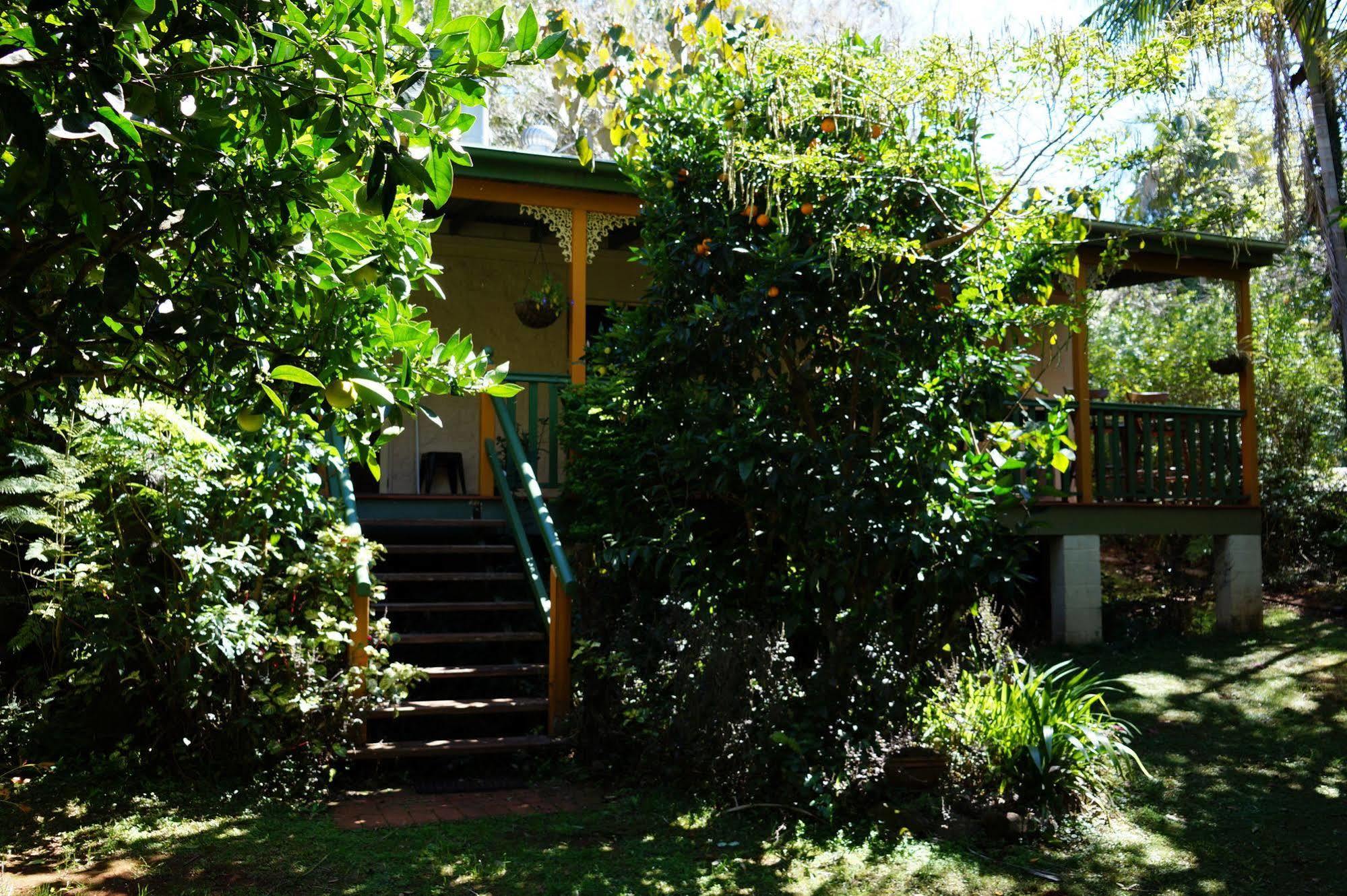 Kidd Street Cottages Маунт Тамборин Екстериор снимка